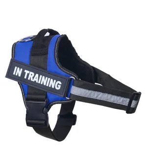 Personalized Dog Harness Reflective Adjustable No-Pull Pet Harness Vest For Small Medium Large Dogs wholesale