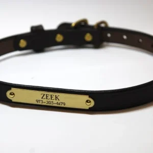 Personalized Mahogany Dog Collar with Brass