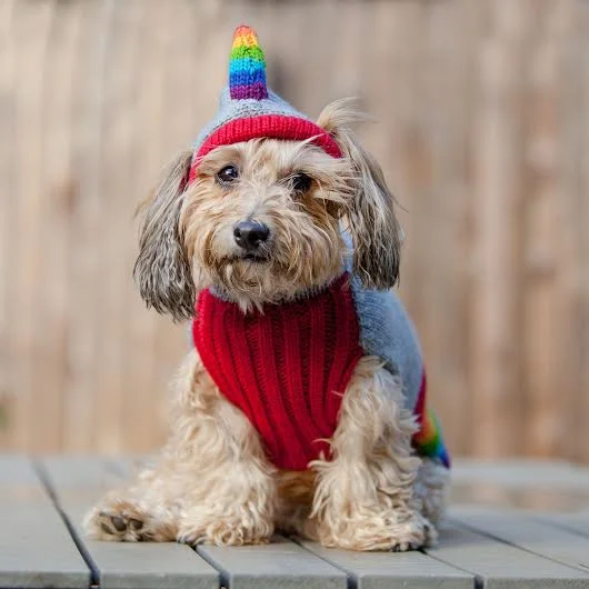 PERUVIAN KNITS | Magical Unicorn Sweater