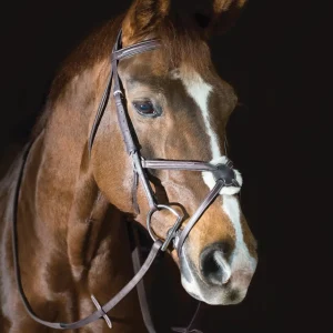 Pessoa® Pro Fancy-Stitched Figure-8 Bridle