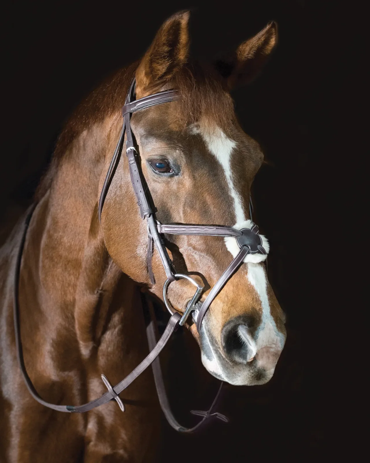Pessoa® Pro Fancy-Stitched Figure-8 Bridle