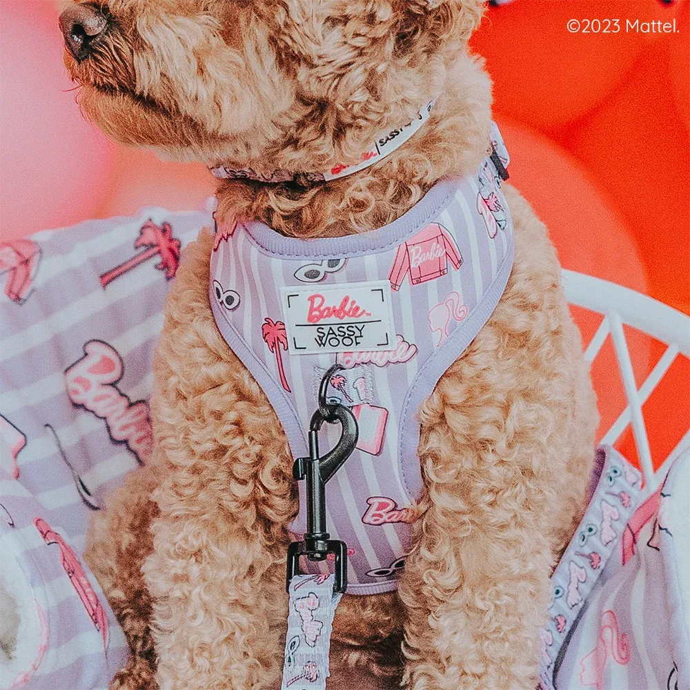 Pet Blanket - BARBIE™ Closet Goals - Image 2