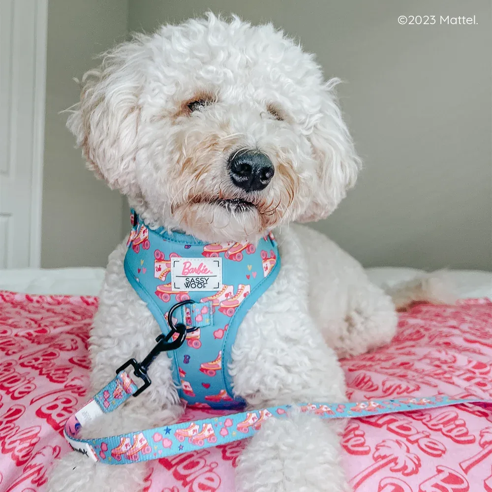 Pet Blanket - BARBIE™ Malibu - Image 2