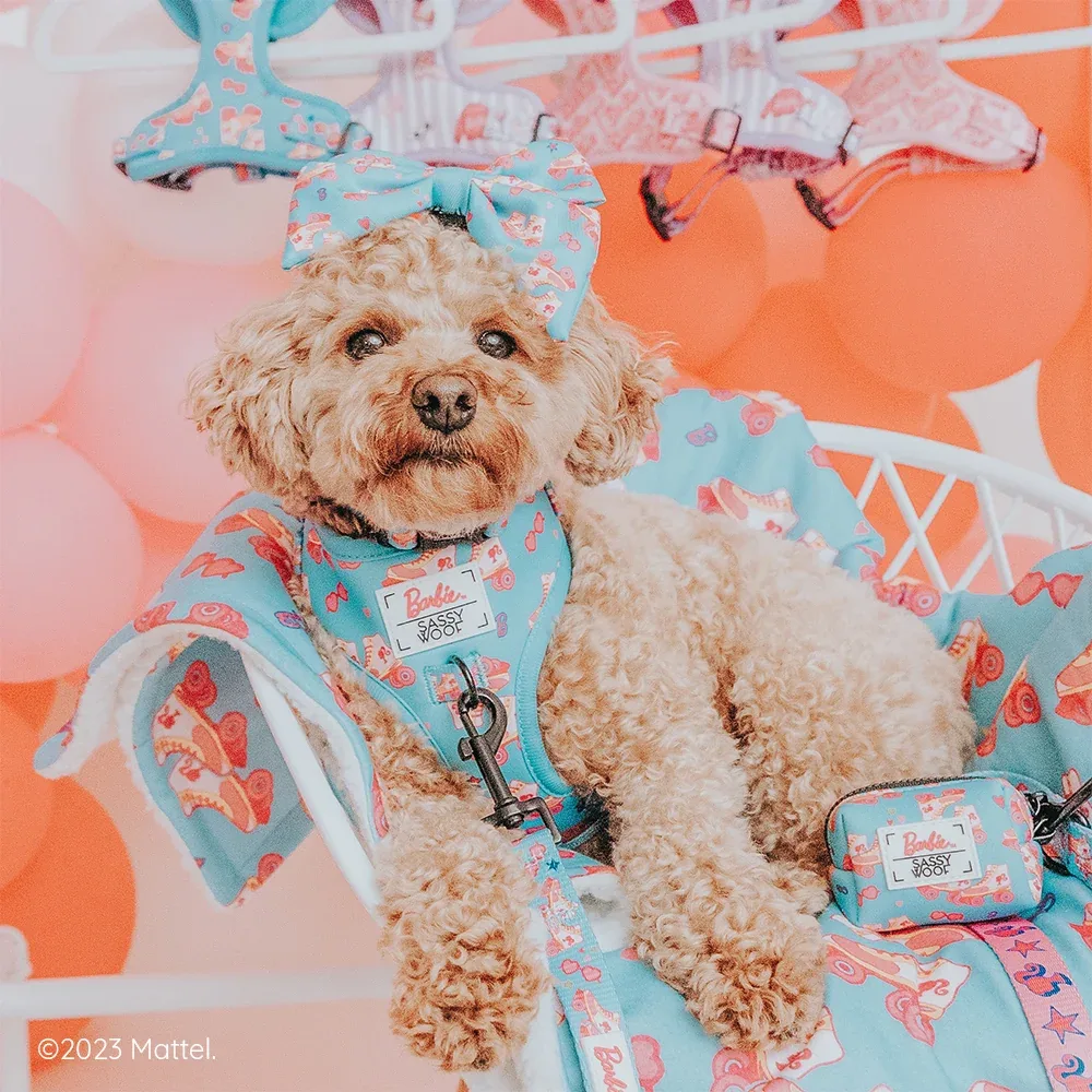 Pet Blanket - BARBIE™ On a Roll - Image 2