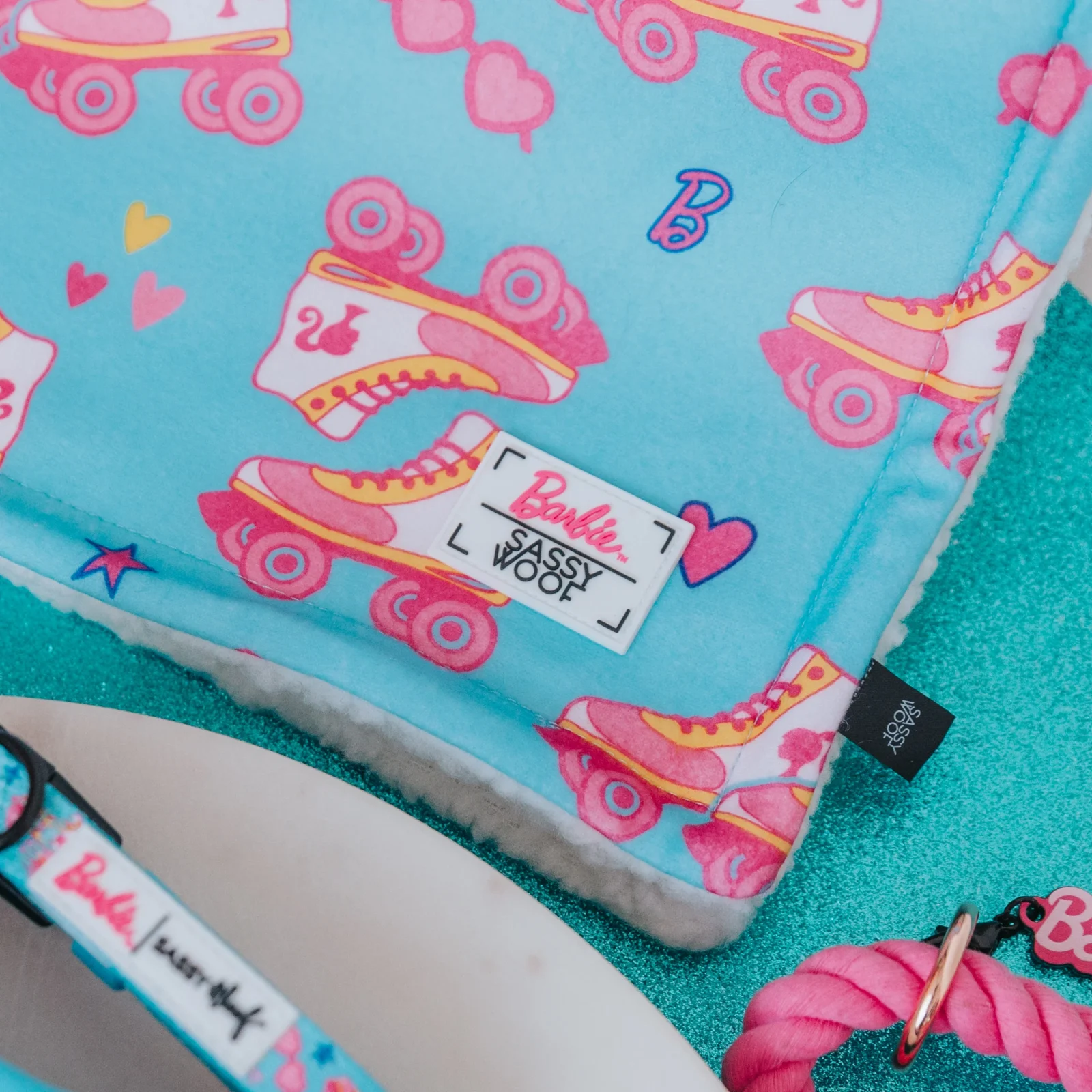 Pet Blanket - BARBIE™ On a Roll