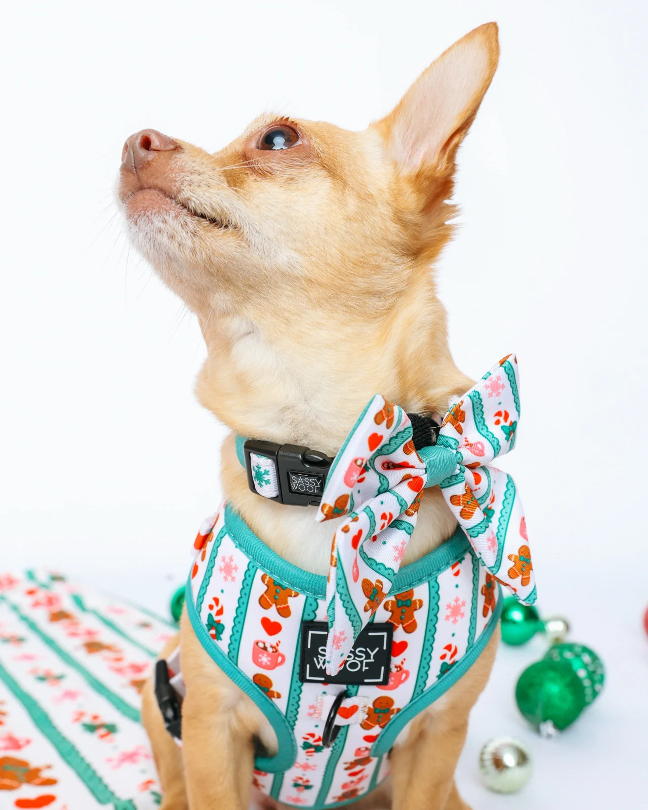 Pet Blanket - Cocoa & Cookies - Image 2