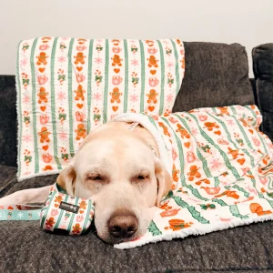Pet Blanket - Cocoa & Cookies