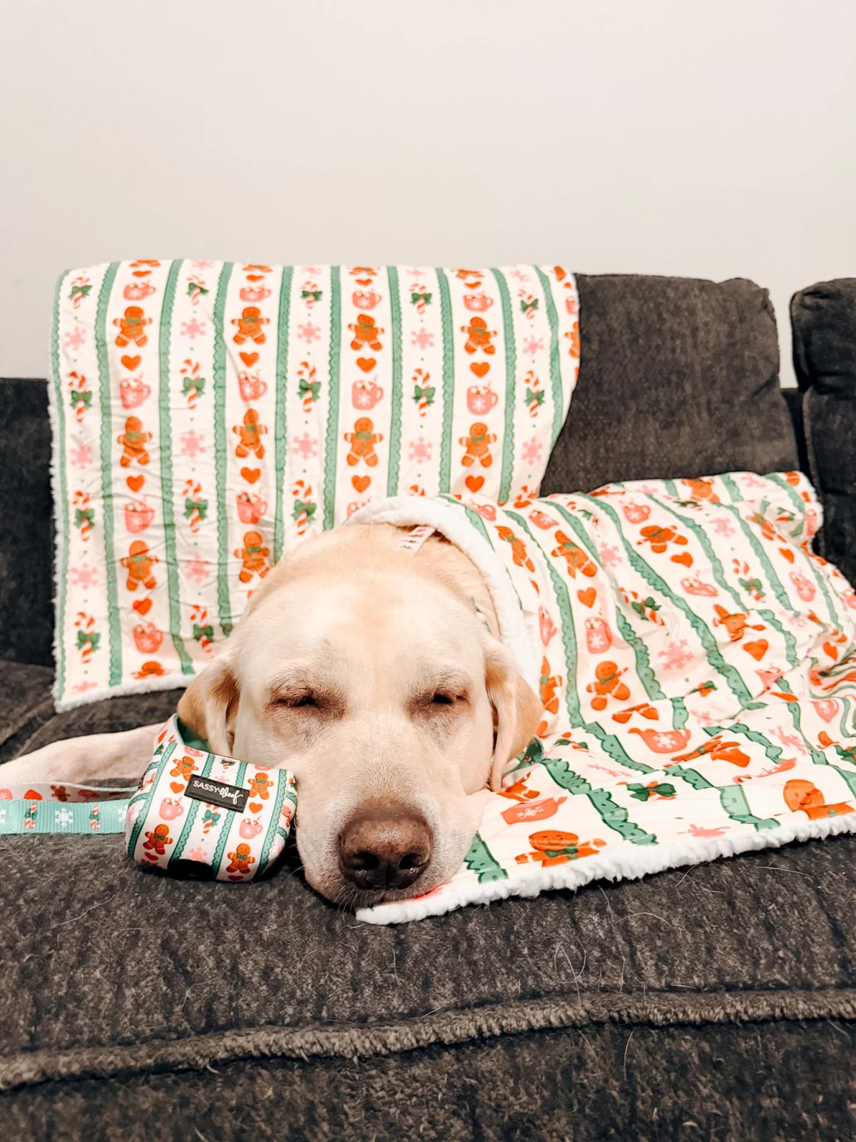 Pet Blanket - Cocoa & Cookies