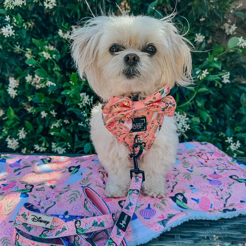 Pet Blanket - Disney's Mulan - Image 2