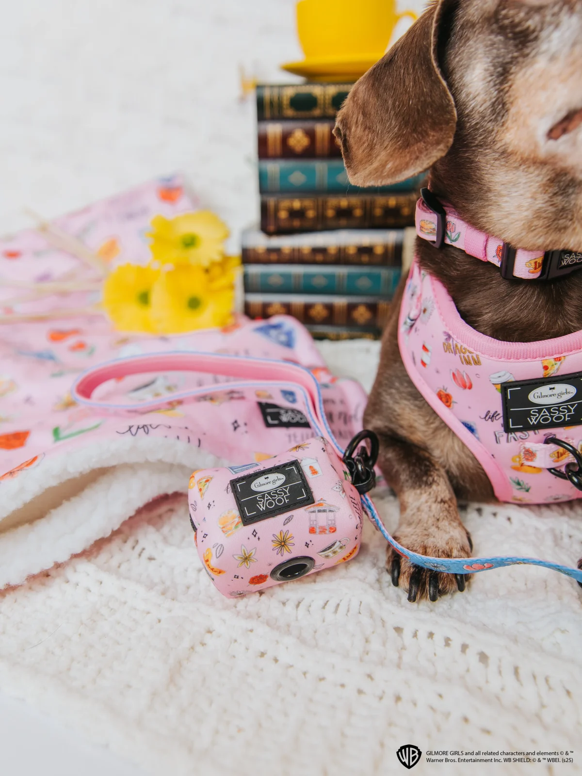 Pet Blanket - Gilmore Girls™ - Image 2