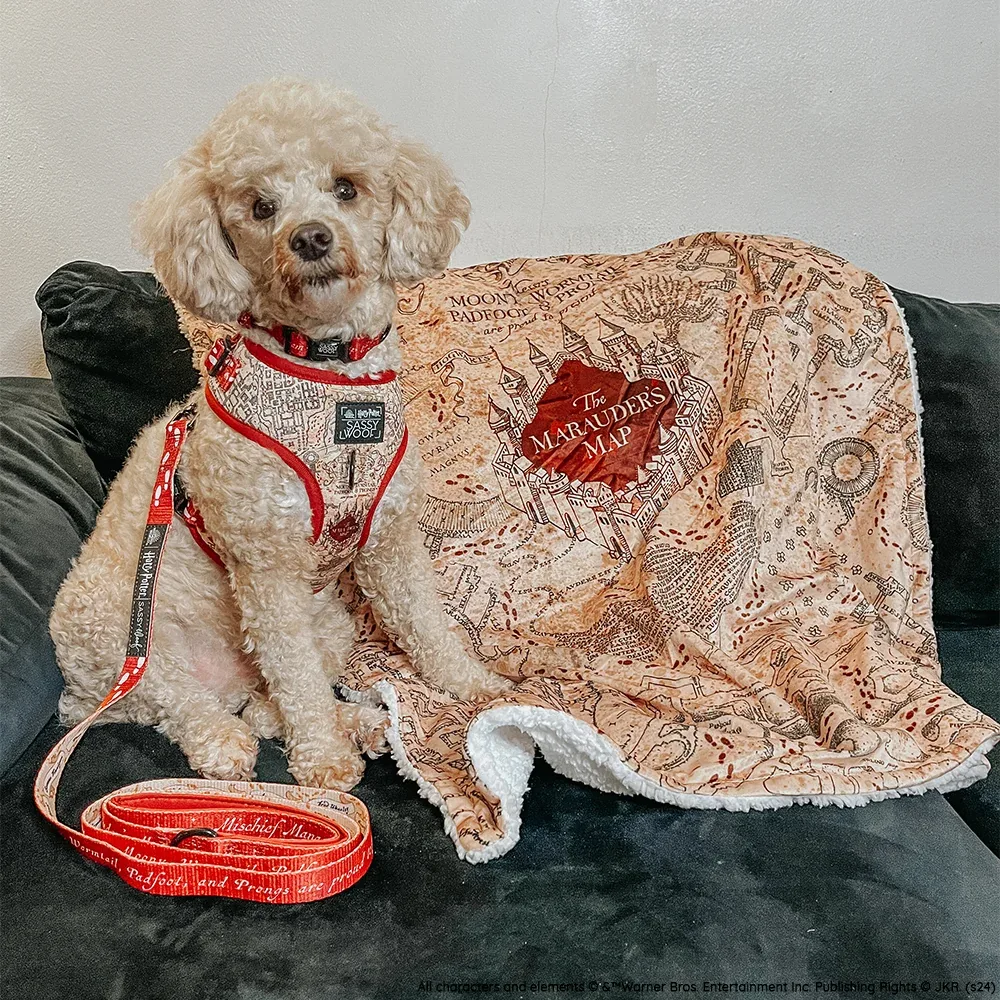 Pet Blanket - Harry Potter™ Marauder's Map™ - Image 2