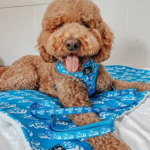 Pet Blanket - KEN™