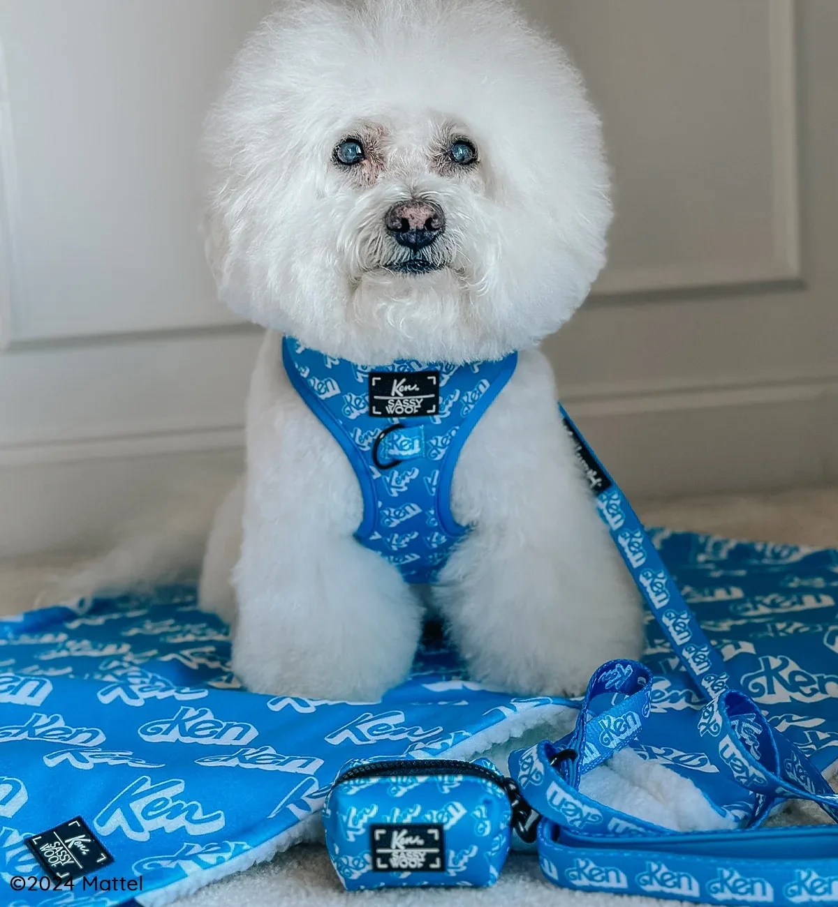 Pet Blanket - KEN™ - Image 2