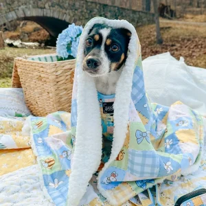 Pet Blanket - Patch Perfect