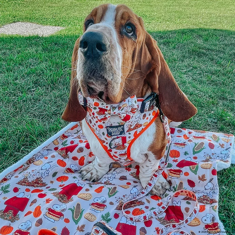 Pet Blanket - Peanuts™ Harvest - Image 2