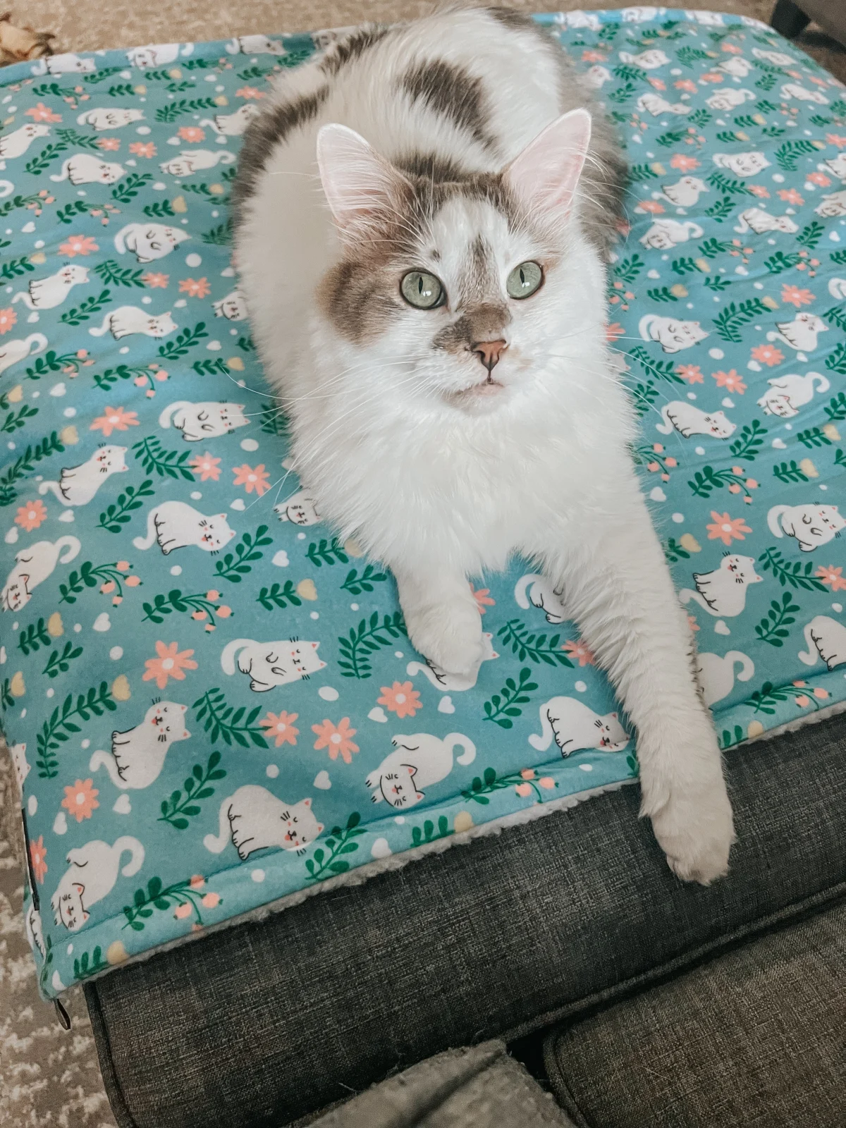 Pet Blanket - Purrs & Petals - Image 2