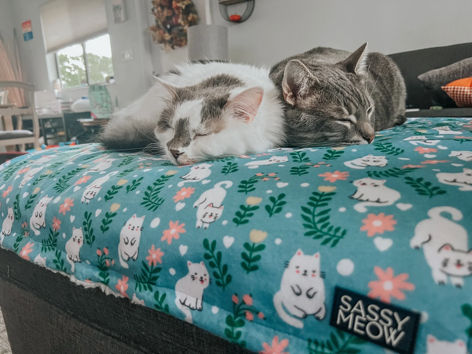 Pet Blanket - Purrs & Petals