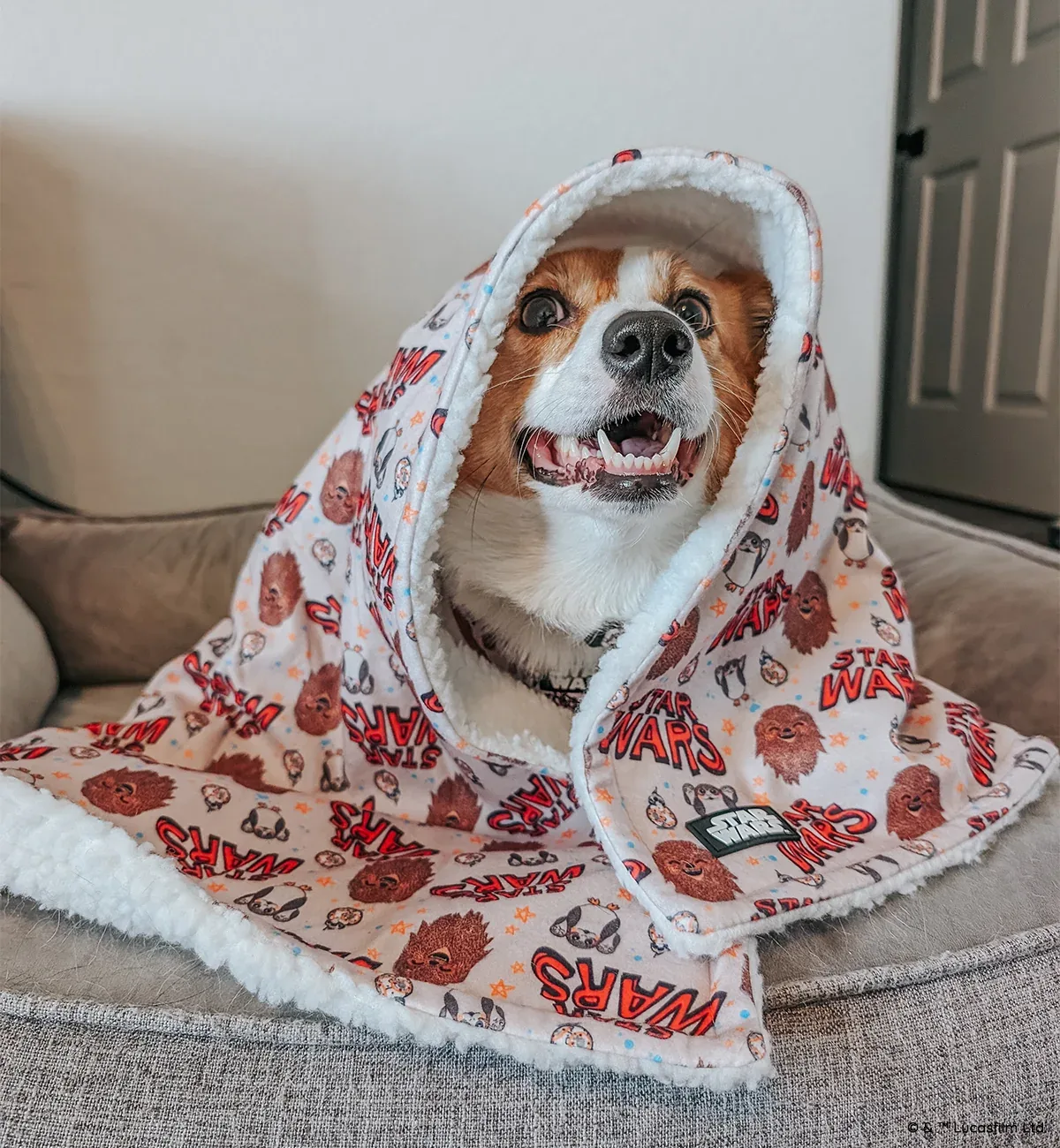 Pet Blanket - STAR WARS™ The Rebel Alliance