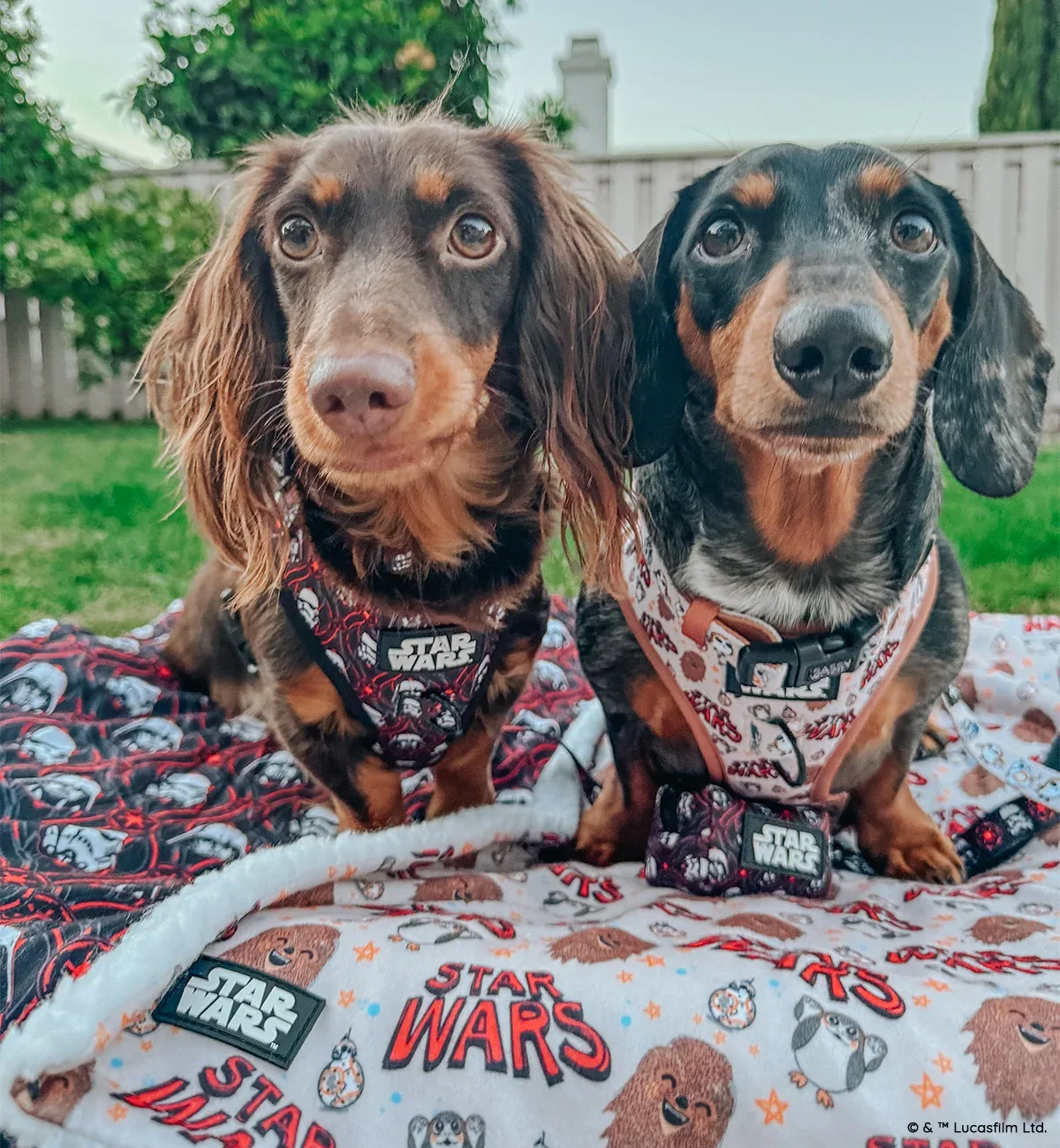 Pet Blanket - STAR WARS™ The Rebel Alliance - Image 2