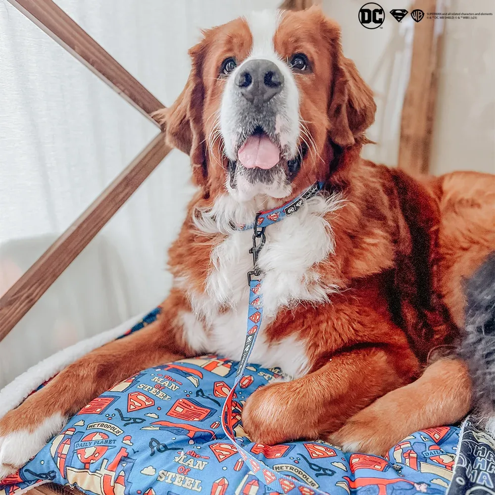 Pet Blanket - Superman™ - Image 2
