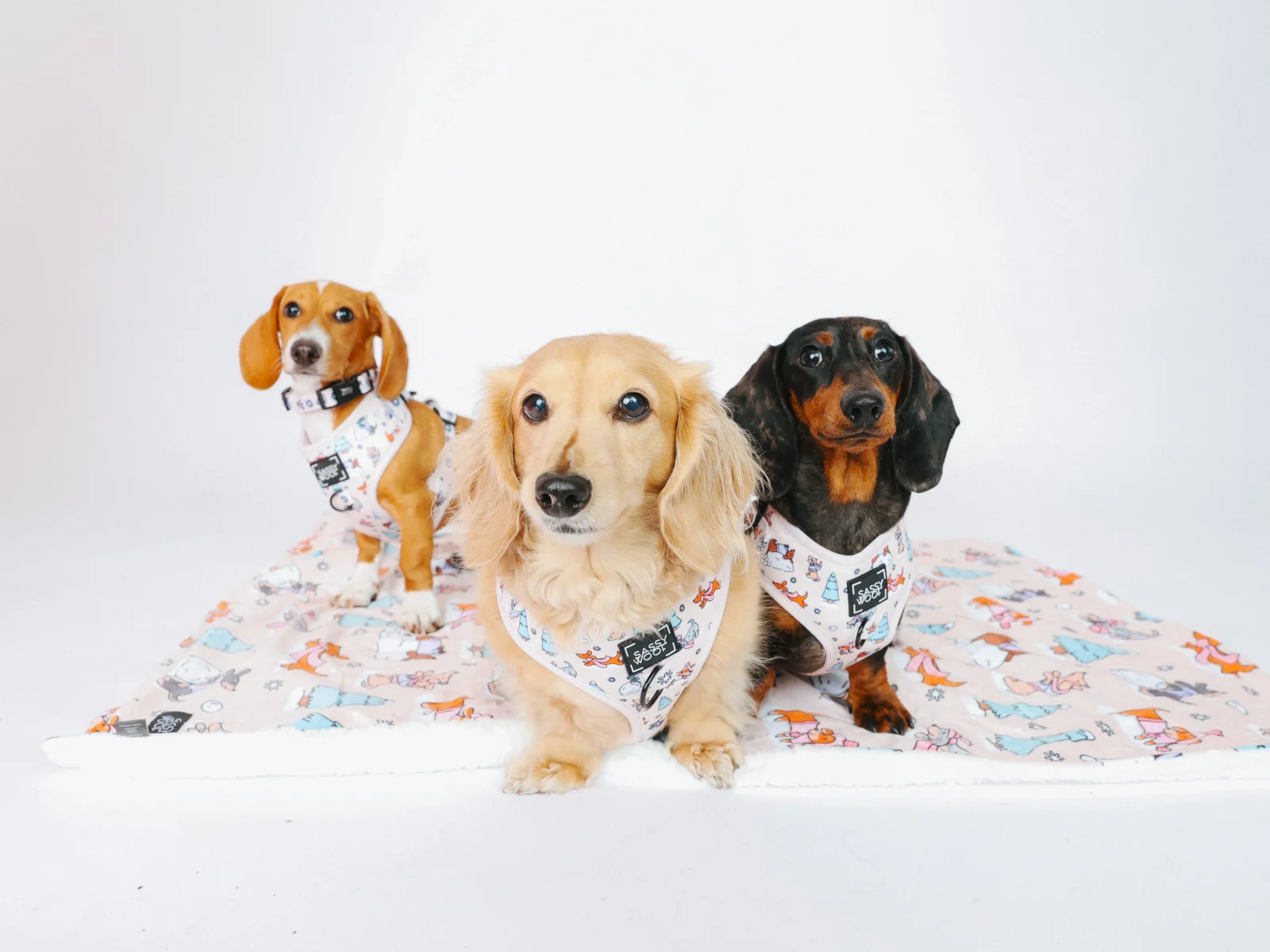 Pet Blanket - Weenie Wonderland - Image 2