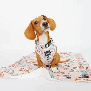 Pet Blanket - Weenie Wonderland