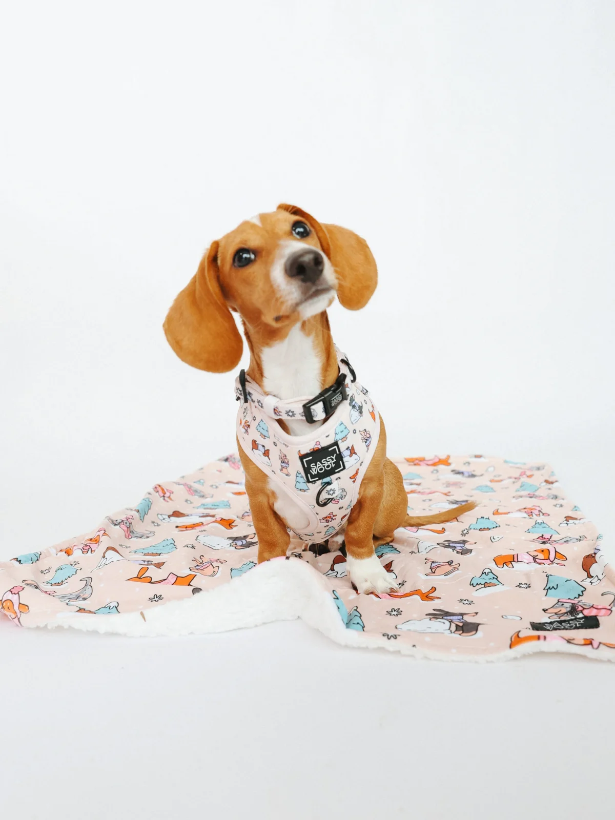 Pet Blanket - Weenie Wonderland