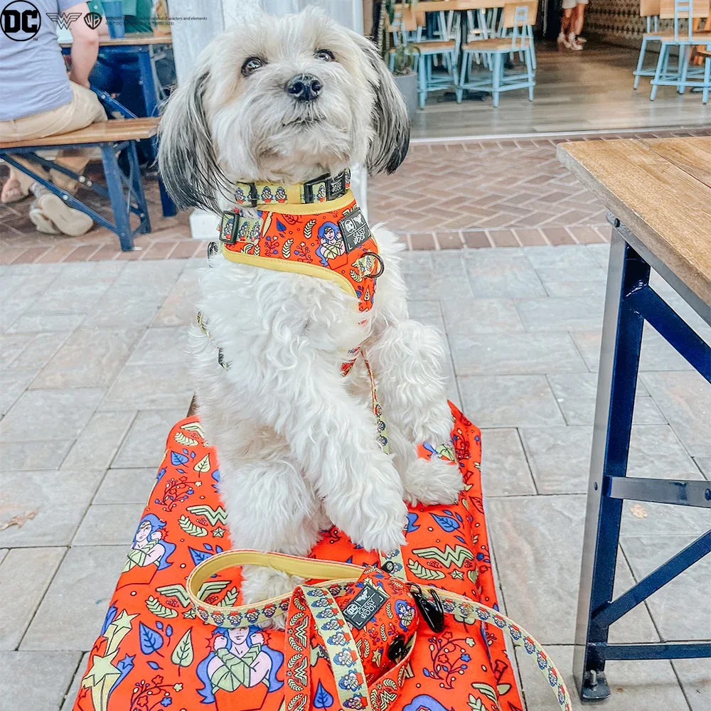 Pet Blanket - Wonder Woman™ - Image 2