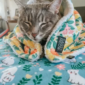 Pet Blanket - Zest Friends
