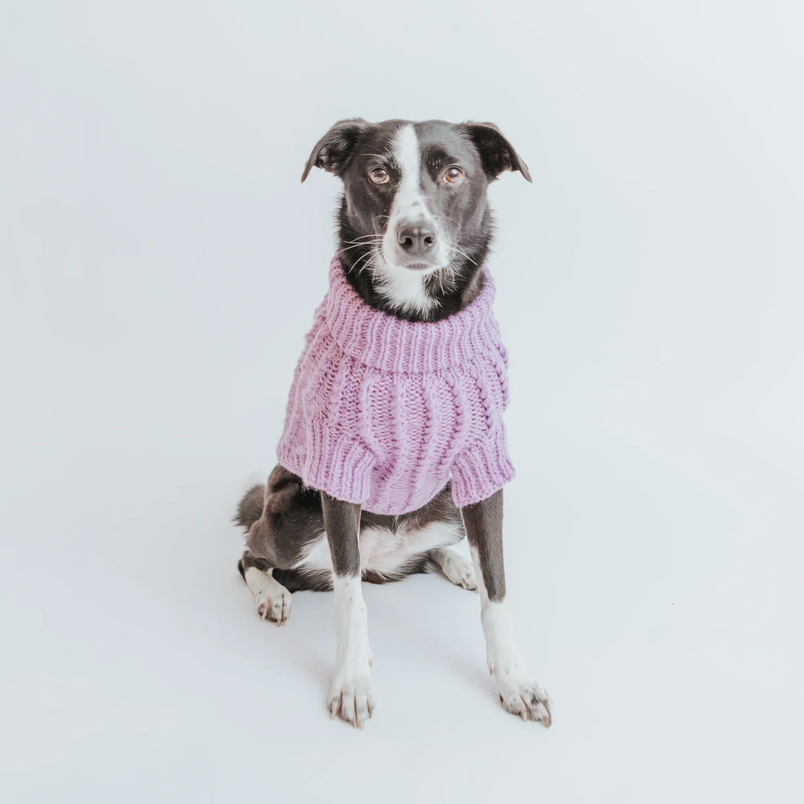 Pet Cable Knit Sweater - Lavender - Image 2