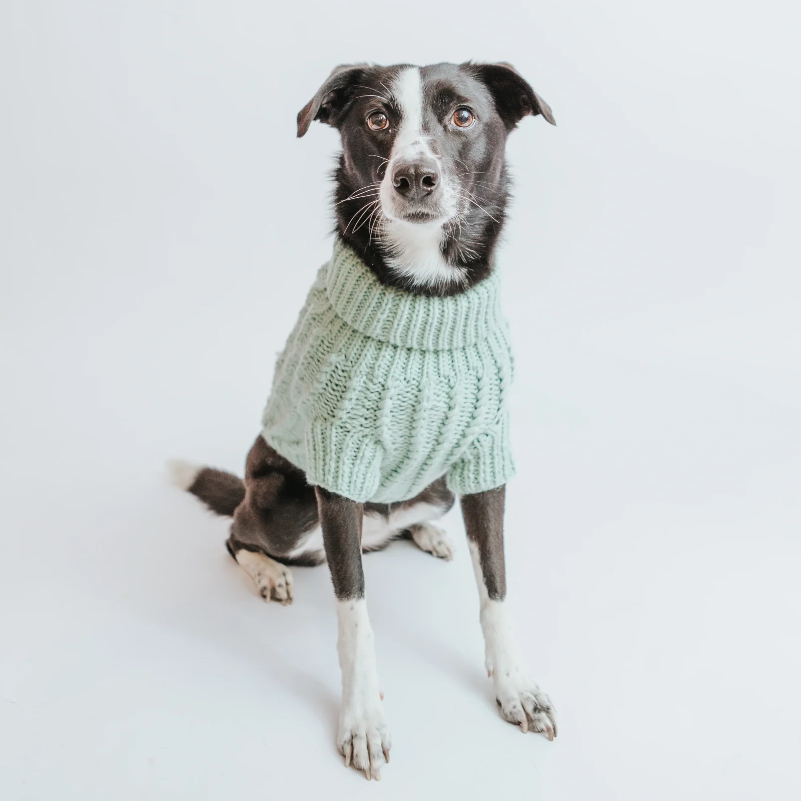 Pet Cable Knit Sweater - Mint - Image 2