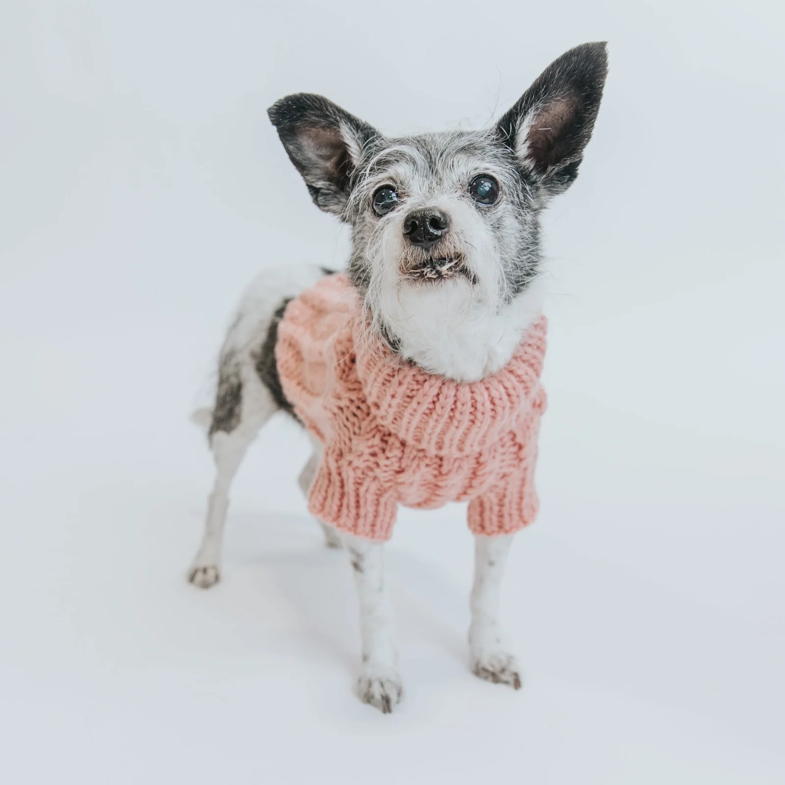 Pet Cable Knit Sweater - Pink - Image 2