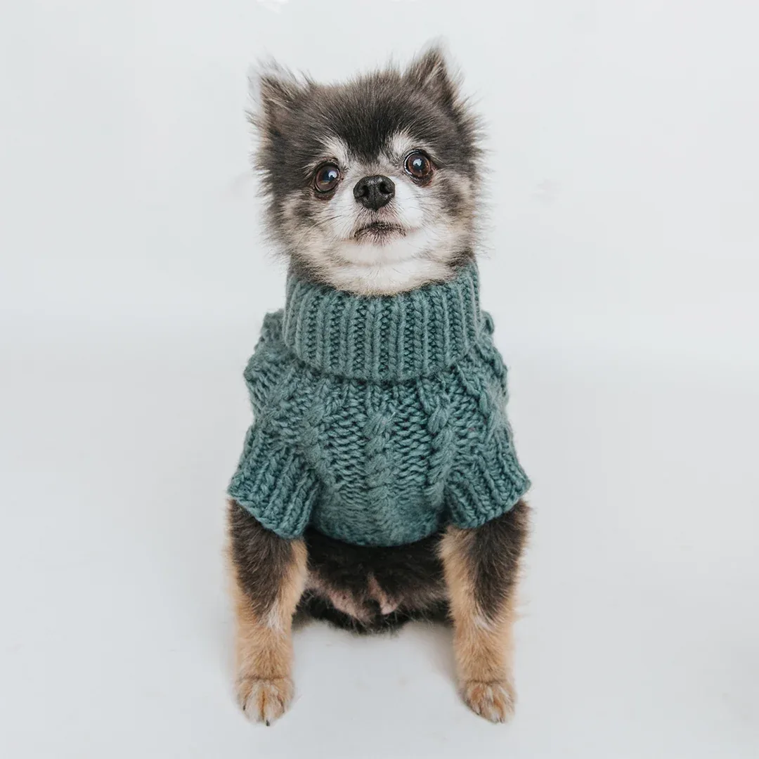Pet Cable Knit Sweater - Teal - Image 2