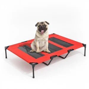 Pet Cages And Beds Will Not Be Provided On Weekends, Amazon Shipping, WalMart Banned From Sale