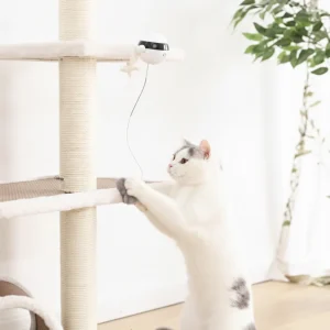Pet Cat Toy Electronic Motion Cat Toy Interactive