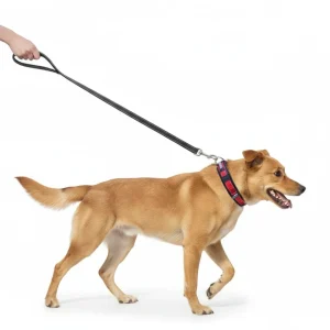 Pet Double Handle Pull Leash