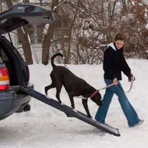 Pet Gear Travel Lite Pet Ramp