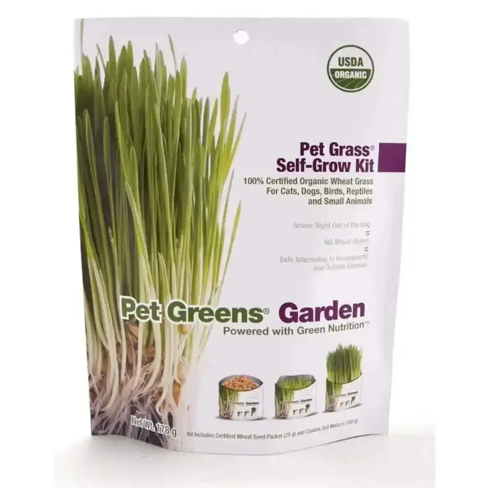 Pet Greens Garden Pet Grass Self-Grow Kit 3 oz