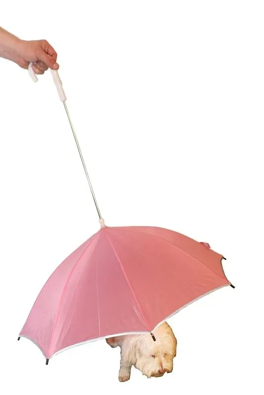 Pet Life Umbrella and Leash Holder