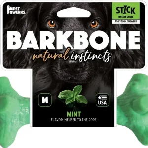 Pet Qwerks Dinosaur Barkbone Breath Stick Mint Medium
