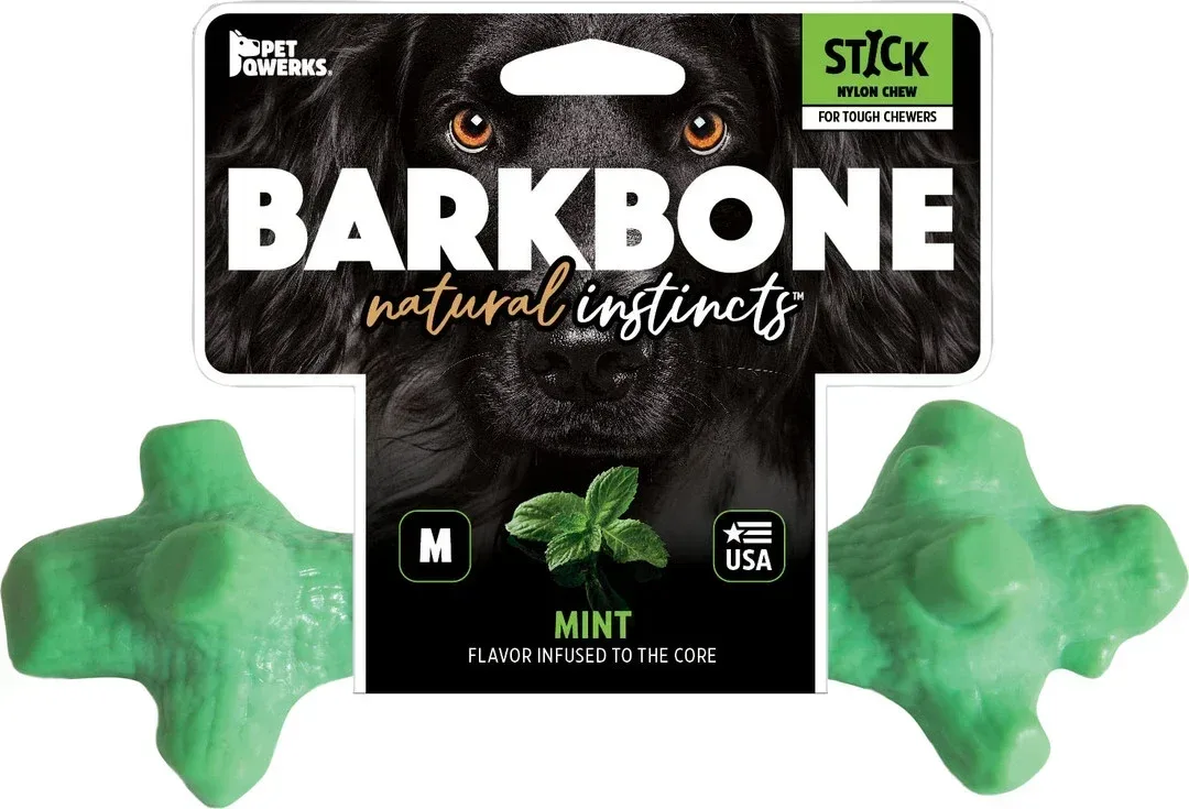 Pet Qwerks Dinosaur Barkbone Breath Stick Mint Medium