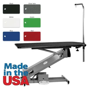 PetLift MasterLift Deluxe Fixed Top Electric Dog Grooming Table 54x24 Blue