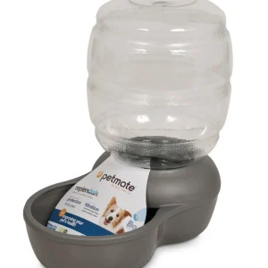 Petmate Replendish Water With Microban Mason Silver 1ea/MD