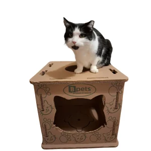 PetPro Cardboard Cat House for Indoor Cats