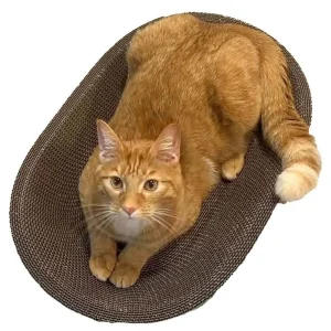 PetPro Scratcher Lounge Cardboard Bed