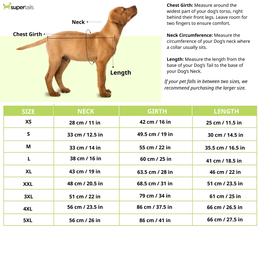 Pets Way Cozyquilt Winter Jacket for Dogs (Yellow) - Image 2