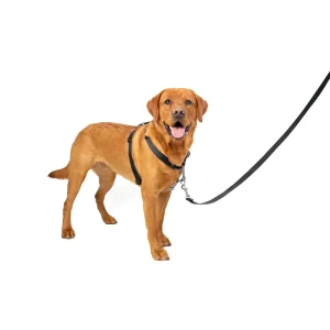 PetSafe® 3 in 1 Dog Harness, Adjustable, Walking Dog Harness, Training Dog Harness, Multiple Sizes