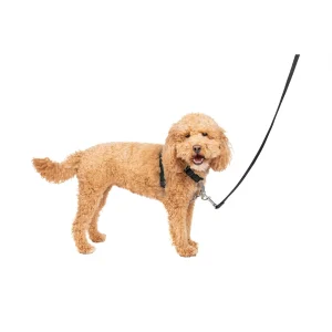 PetSafe® 3 in 1 Harness