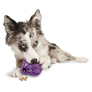 PetSafe® Busy Buddy Barnacle Treat Dispensing Dog Toy