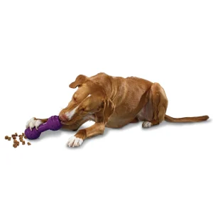 PetSafe® Busy Buddy® Chuckle Treat Dispensing Dog Toy